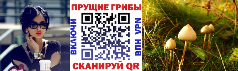 Псилоцибиновые грибы мухоморы  Ясный 