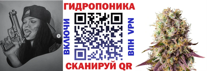 Конопля Ganja  где купить наркоту  Ясный 